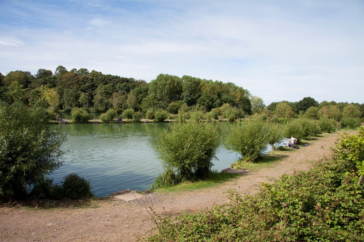 woodland-view-fishery
